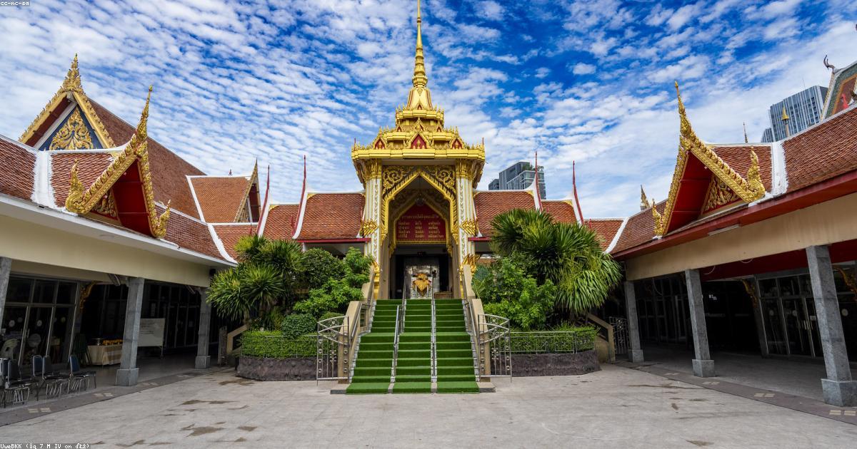 Tessuti biologici: Materiali del futuro