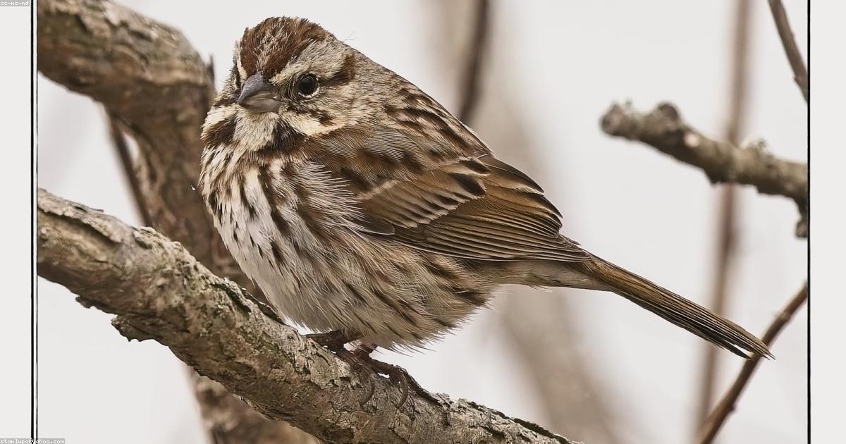 Da rifiuto a risorsa: il potere del riciclo nella moda