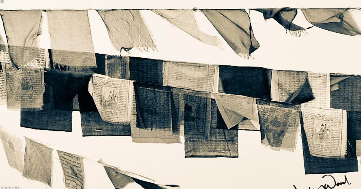 Le tendenze della moda sostenibile da seguire