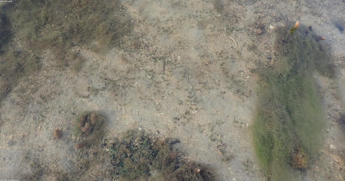 Stili senza tempo: la moda vintage e il suo impatto