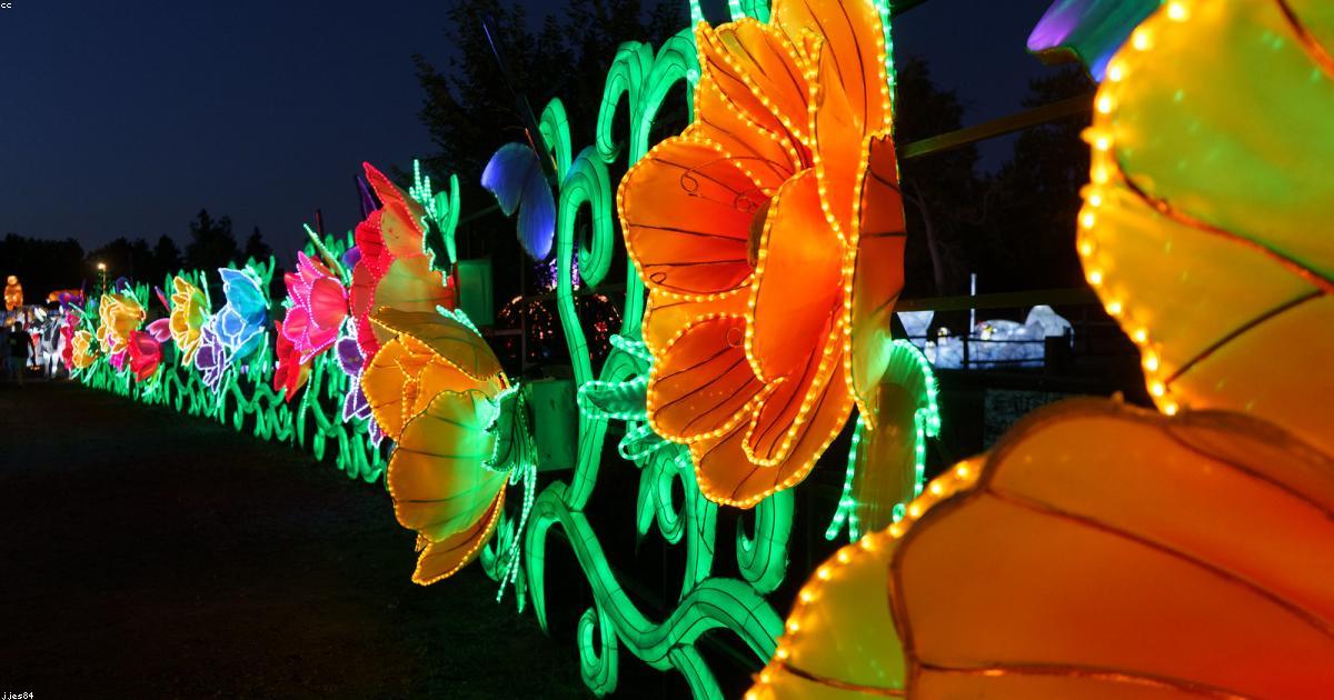 Eco-friendly e chic: come abbinare stile e sostenibilità