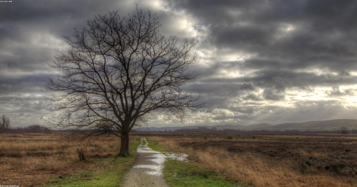 Rivisitare il passato: l’importanza della moda vintage