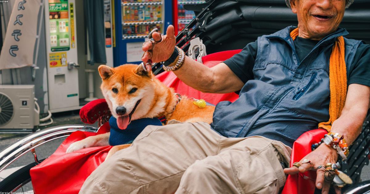 La moda come strumento di attivismo sociale