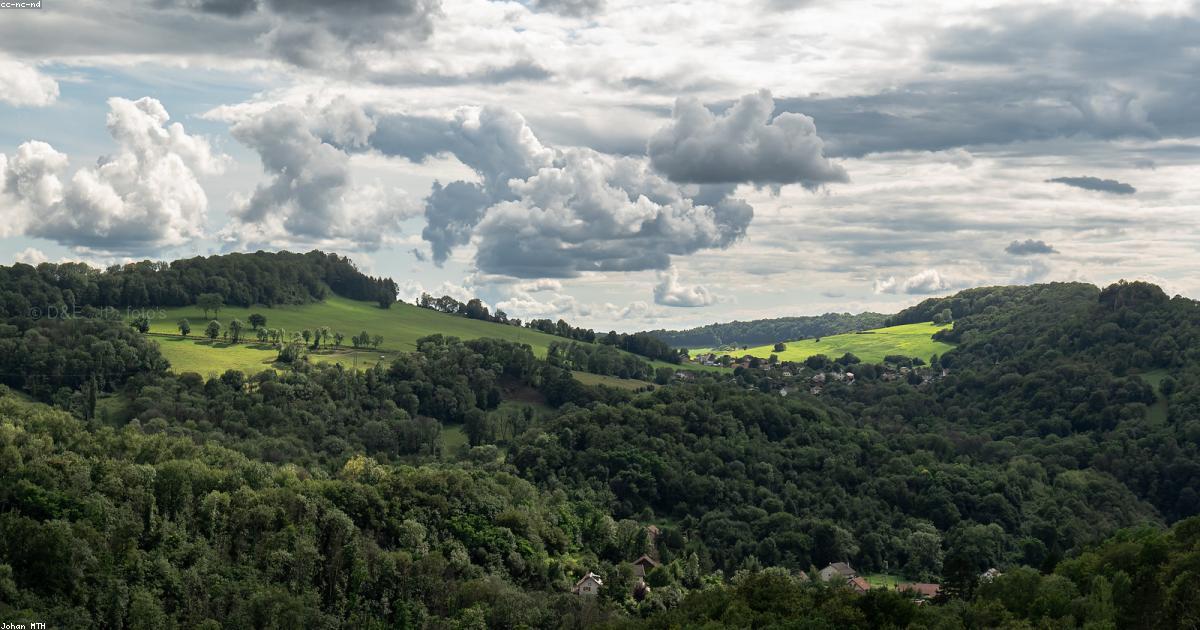 Cosa significa essere un consumatore responsabile