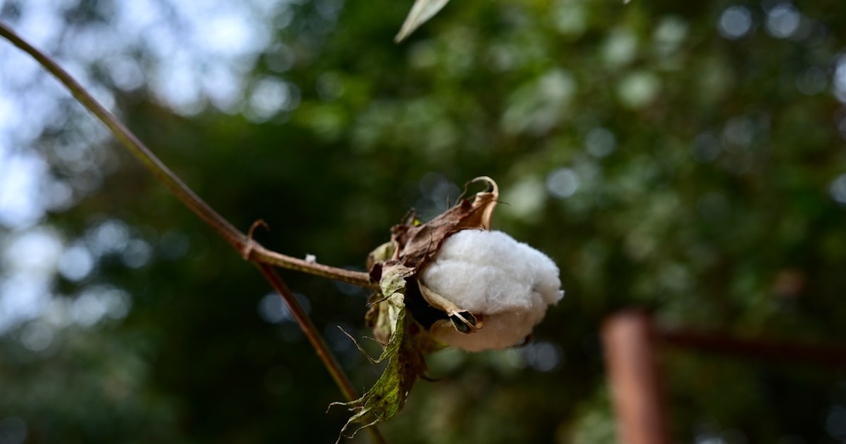 Il futuro del fashion: materiali innovativi e green