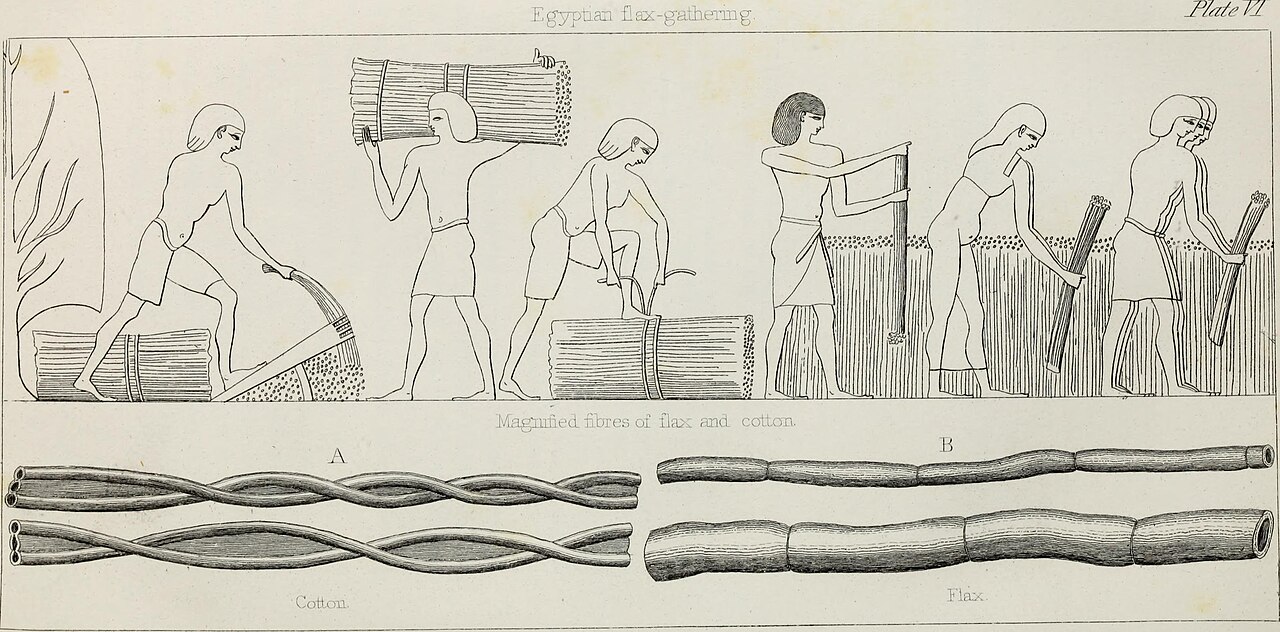 fabric linen cotton (foto: Internet Archive Book Images / No restrictions, Wikimedia Commons)